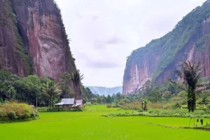 Februari 2026: Momen Langka "Imlek-Ramadan", Tren Draco Malfoy, dan Sejarah Baru Futsal Indonesia